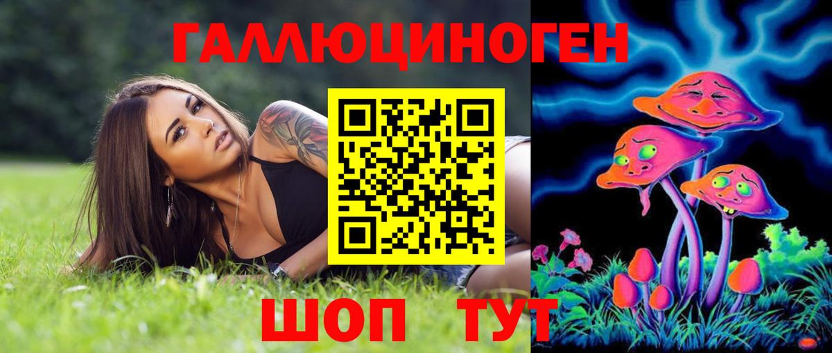 Галлюциногенные грибы Psilocybe  Галлюциногенные грибы Psilocybine cubensis  Пенза  Вход с VPN 